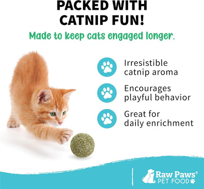 Raw Paws Catnip Balls for Cats (6-Count) - Interactive Indoor Cat Toy | Natural Compressed Natural Catnip - Cat Lick Balls - Catnip Roller Balls - Play & Enrichment Toy - Fresh Dried - No Additives3