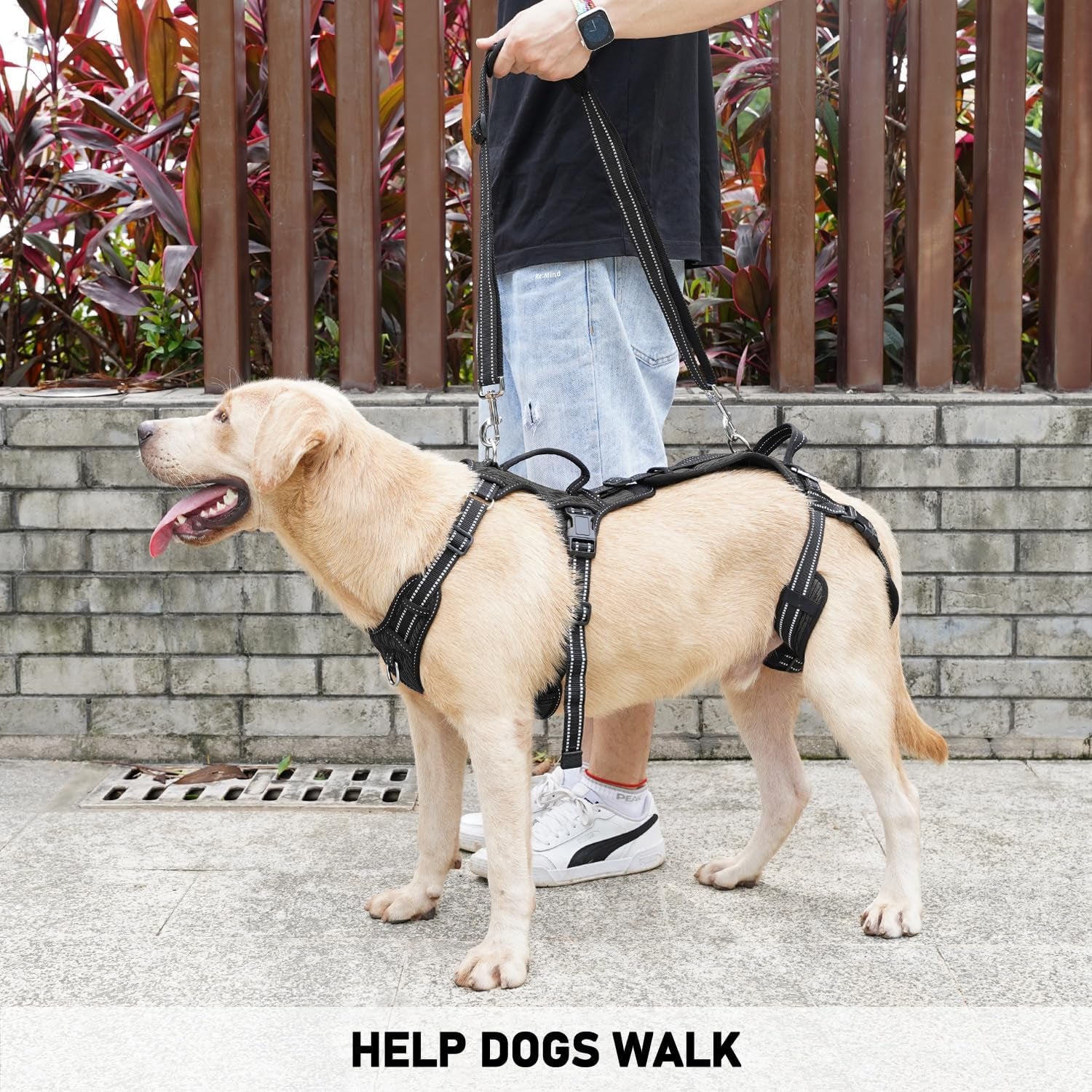 coodeo-mobility-dog-lift-harness-support-sling-walking-sling-for-dogs-pet-rear-leg-rehabilitation-support-vest-dog-carrier-for-senior-dogs-with-joint-injuries-arthritis-up-stair-black-l