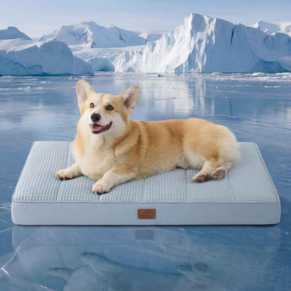 Bedsure Washable Dog Beds Large Sized Dog with Comfy Sherpa, 36X27In Grey | Orthopedic Egg Crate Foam,Comfort Support Flat Rectangle Pet Mat,Non-Slip Bottom,Removable Cover,For Large Breed up to 55 Lbs35