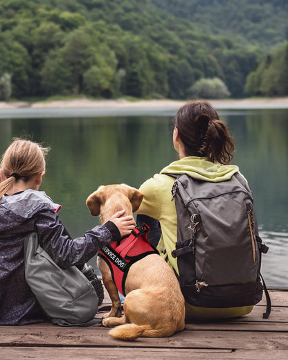 FAYOGOO Service Dog Vest for Small Dogs - Lightweight Dog Harness with 6PCS Removable Patches - Puppy Harness and Leash Set for Walking,Training7