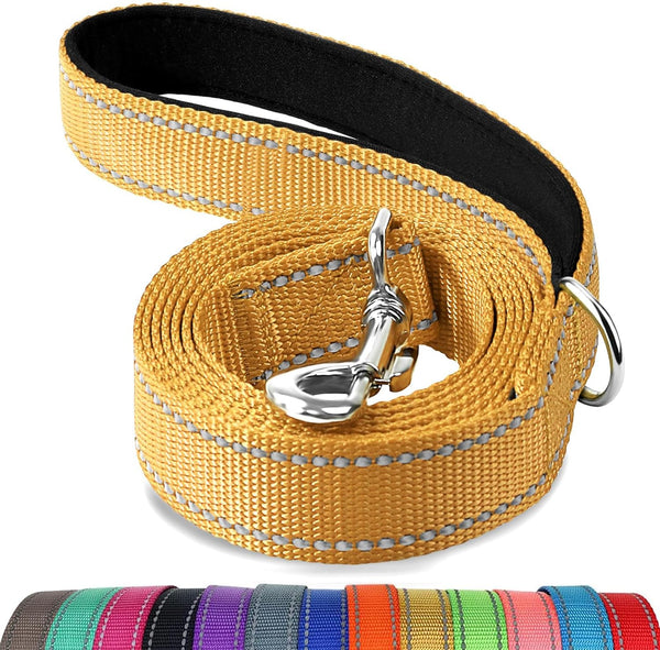Joytale Reflective Dog Leash for Medium & Large Dogs, 6 FT X 1", Black | Heavy Duty Nylon Webbing, Padded Handle for Comfort, Visible at Night, for Walking & Training18