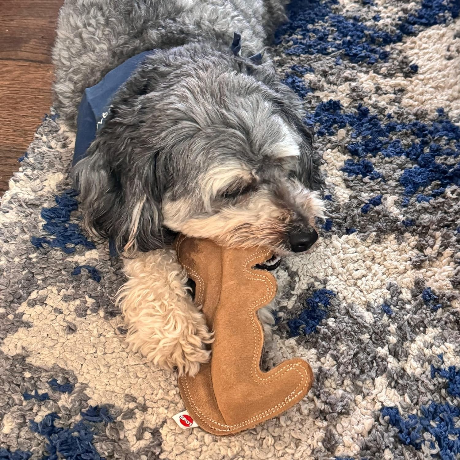 spot-dura-fused-leather-squirrel-dog-toy-real-leather-jute-fabric-double-stitched-durable-soft-stuffed-squeaky-interactive-chew-toy-for-moderate-chewers-small-medium-dogs-8in