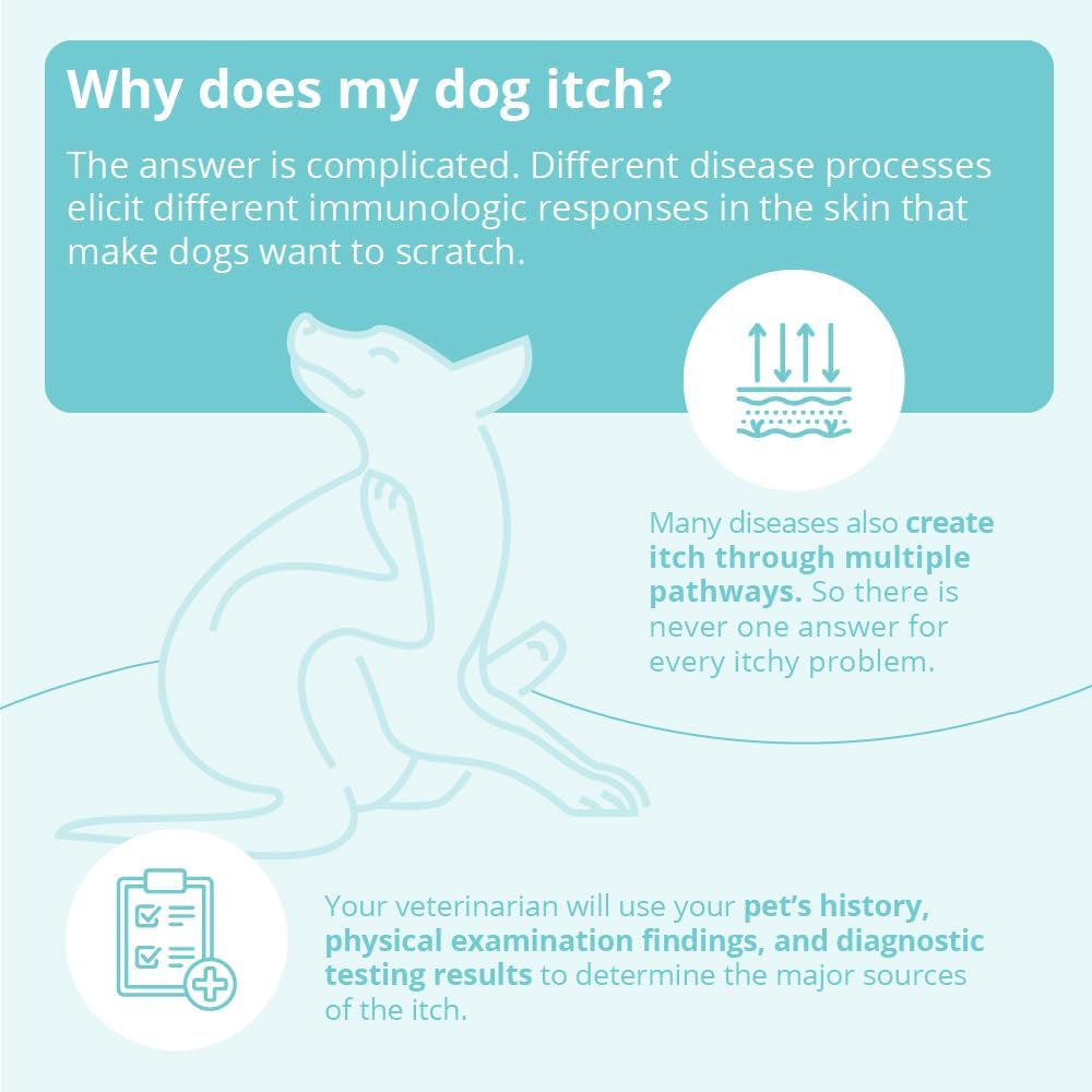 dermabenss®-shampoo-for-dogs-cats-and-horses-12-fl-oz-gentle-soap-free-antiseboerrhetic-antimicrobial-2-5-benzoyl-peroxide-usp-1-salicylic-acid-packaging-may-vary