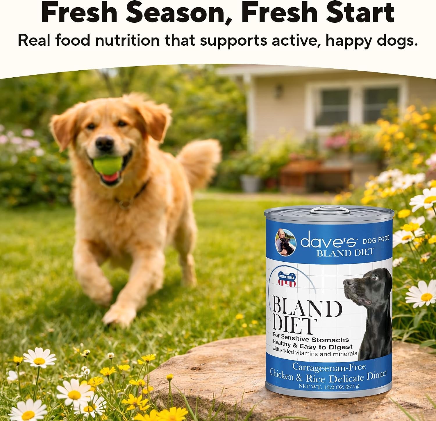 daves-pet-food-bland-diet-dog-food-chicken-rice-sensitive-stomach-easy-to-digest-pate-gluten-free-digestive-care-low-fat-6-limited-ingredients-complete-balanced-13-2-oz-case-of-12