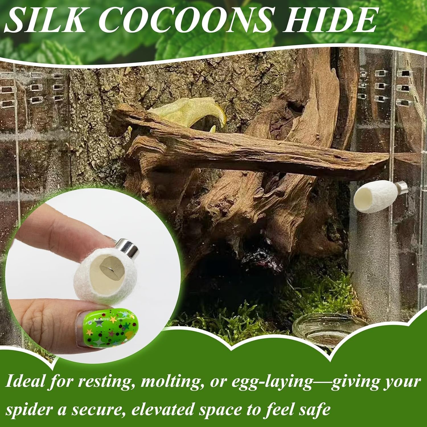 jumping-spider-habitat-accessories-enclosure-habitat-accessories-jumping-spider-web-climbing-and-feeding-platforms-with-magnets-for-small-insects-critters
