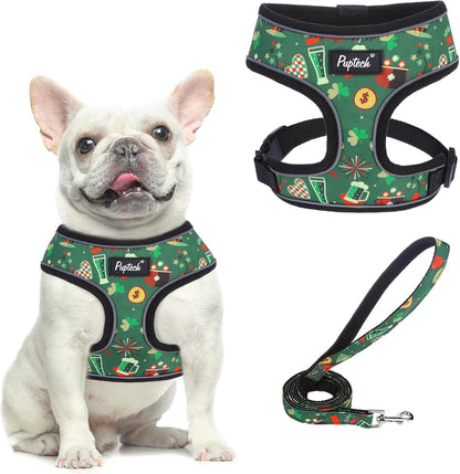 PUPTECK Soft Mesh Dog Harness Small Sized and Leash Set Pet Puppy Cat Comfort Padded Vest No Pull Harnesses, Beige, S38