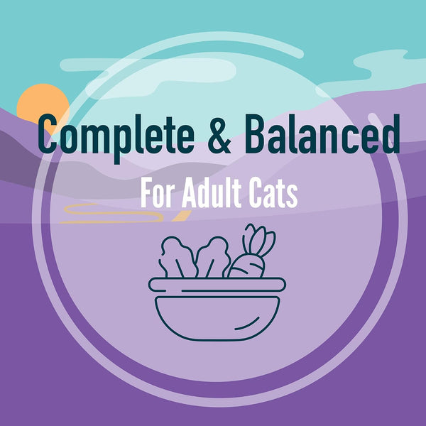 A Strong Heart Split Cup Wet Cat Food, Chicken Entree - 2.6 Oz Split Cups, 20 Servings (Pack of 10), Made in the USA with Real Chicken10