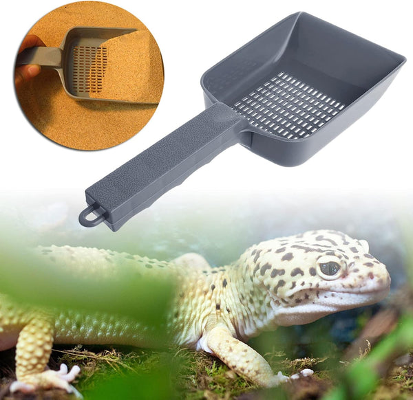 For Cat Litter Kitten Litter Pet Litter Shovel Pet for Cat Litter Sifter for Cat Sand Toilet6