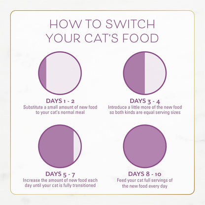 Purina Fancy Feast Dry Cat Food with Savory Farm-Raised Chicken and Turkey - 3 Lb. Bag12