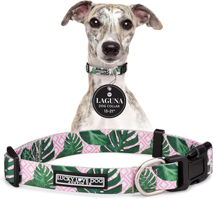 Lucky Love Dog - Easy Click Buckle Dog Collar with Leash Set Combo, Durable & Comfortable for Male & Female Dogs, Pet Collar for Medium Dogs, Secure Fit - Blackbird Combo, Medium96