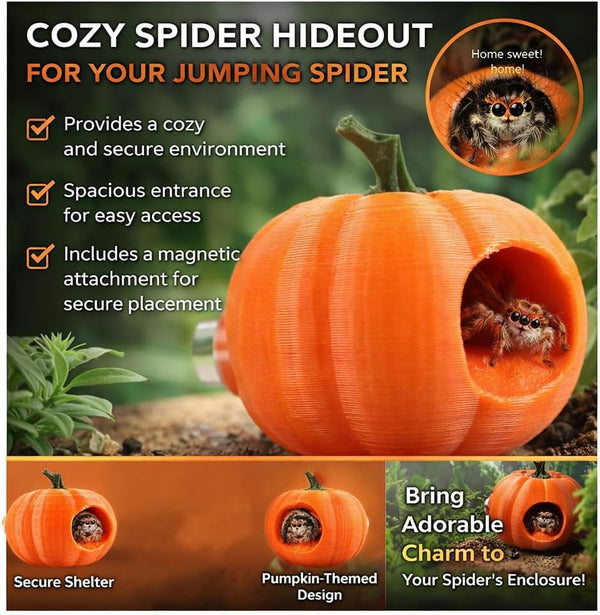 3Pcs Pumpkin Jumping Spider Hide Jumping Spider Enclosure Accessories Magnetic Mounting for Climbing, Resting and Exploration Small Reptile Enclosure Accessories (Pumpkin Hide)6