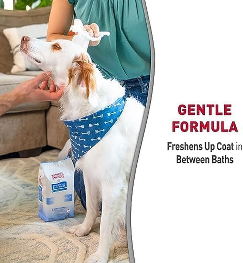 natures-miracle-deodorizing-bath-wipes-for-dogs-100-count-neutralize-tough-pet-odors-between-baths-promotes-healthy-skin-coat-great-for-spot-paw-cleaning-sunkissed-breeze-scent