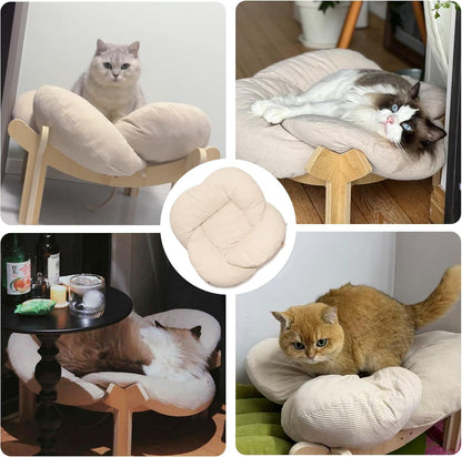 PACHIRA Elevated Cat Bed Wooden, Cat Couch Fluffy, Cat Sofa Flower for Indoor Cats, Raised Cat Bed with Washable Fluffy Cushion and Birch Wood, Cat Chair for Kitty and Puppy, Cat Furniture (White)8