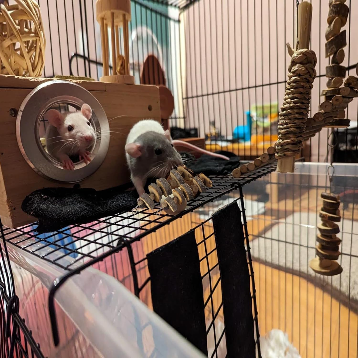 3pcs-small-animal-chews-toy-natural-apple-wood-block-cage-hanging-molars-treats-snack-for-hamsters-rabbits-bunny-bird-parrots-chinchilla-guinea-pig-gerbils-squirrels