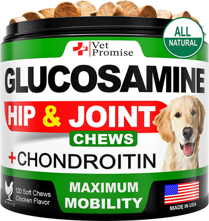 Vet Promise Glucosamine for Dogs - Hip and Joint Supplement for Dogs - Glucosamine Chondroitin - Joint Pain Relief Pills - MSM - Advanced Health Support Supplement - 120 Mobility Chews - Made in USA1