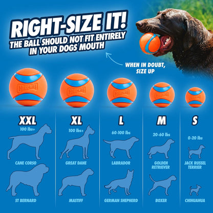 Chuckit! Dog Ball Launcher 12M Sport with 12" Handle Length for Medium 2.5" Dog Balls for Dogs 20-60 Lb, Plastic Pet Fetch Ball Thrower, Perfect for Kids, Made in USA, Blue8