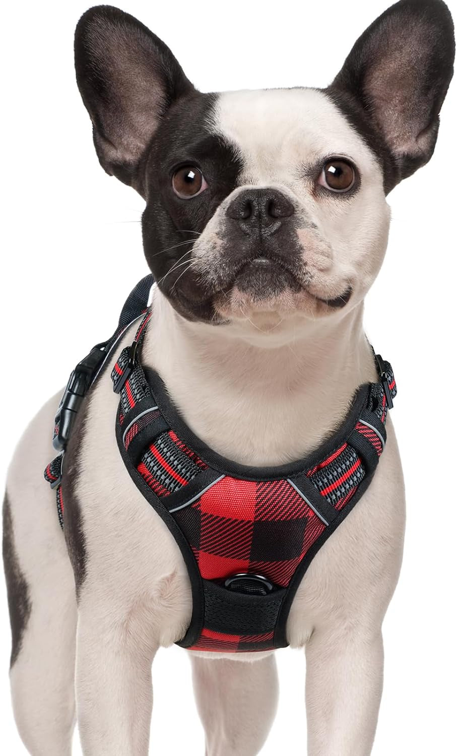 rabbitgoo-dog-harness-no-pull-for-large-dogs-with-2-leash-clips-pet-vest-no-choke-with-handle-adjustable-soft-padded-reflective-easy-control-for-walking-black-large