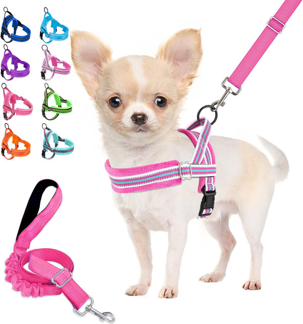 Lukovee No Pull Dog Harness and Leash Set, Soft Padded Small Dog Harness, Neck & Chest Adjustable Reflective Vest Puppy Harness with 4Ft Lightweight Anti-Twist Dog Leash for Small Dogs (XS, Blue)17