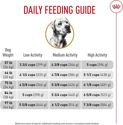 ROYAL CANIN Breed Health Nutrition Labrador Retriever Adult Dry Dog Food, 30 Lb Bag10
