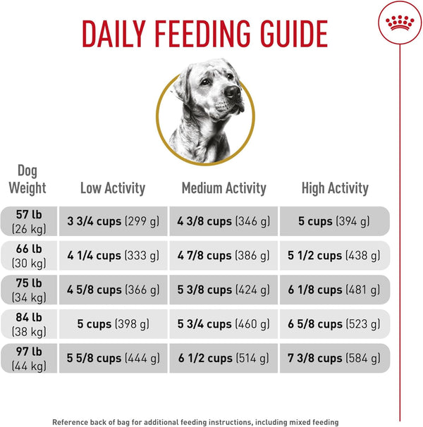 ROYAL CANIN Breed Health Nutrition Labrador Retriever Adult Dry Dog Food, 30 Lb Bag10