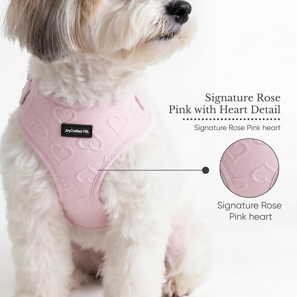 No Pull Harness & Leash Set for Small Sized Dogs, Soft Padded Breathable Neoprene Harnesses, Lightweight Adjustable Step-In Vest with Cute Heart Print & Secure Back D-Ring, Neck 13-17", Chest 16-21"3