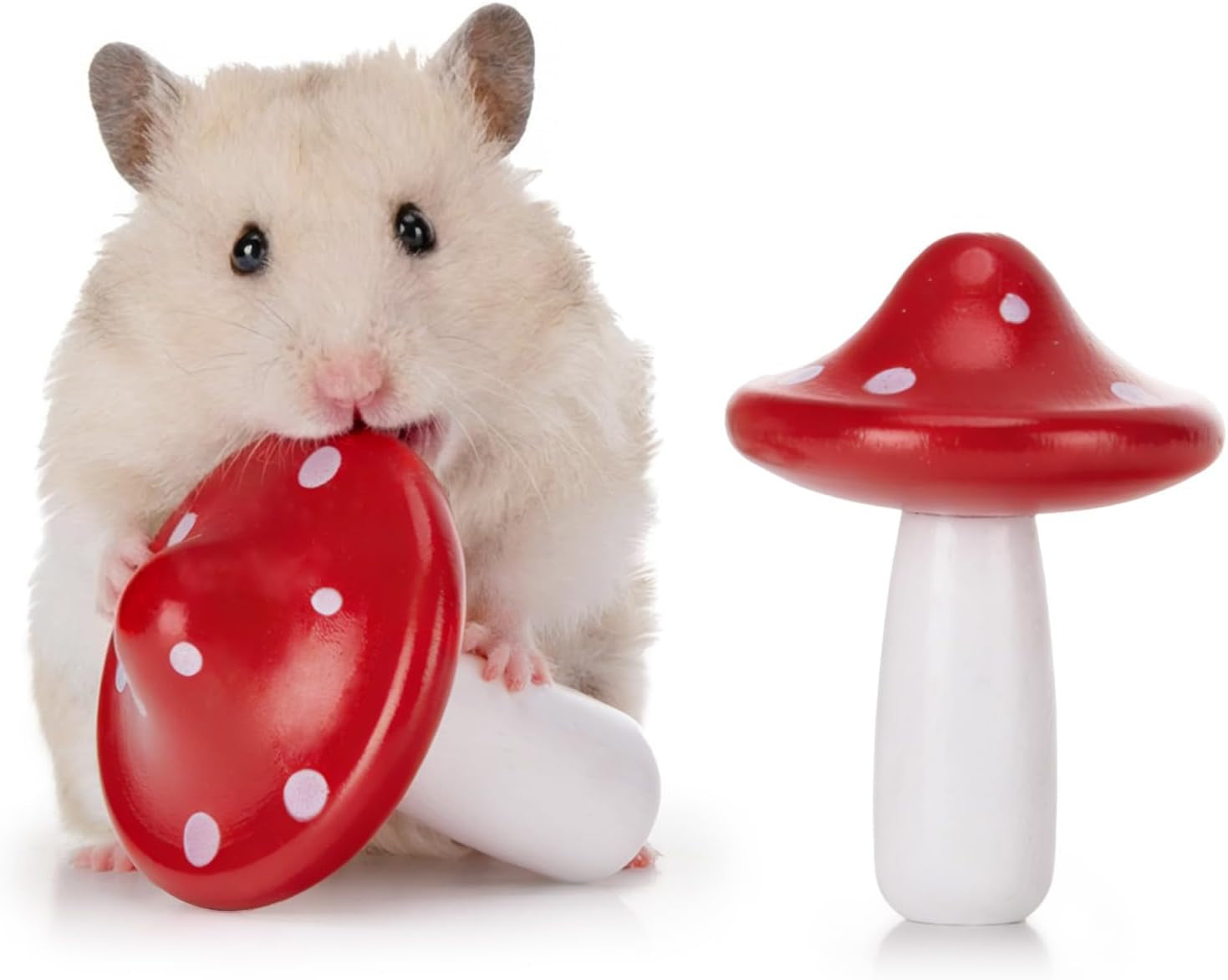 niteangel-hamster-chew-decor-toys-pack-of-6-carrot-shape-beech-wood-chew-friendly-design-to-control-tooth-overgrowth-for-syrian-dwarf-hamster-gerbils-mice-lemming-degu-or-other-small-sized-pets