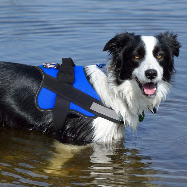 Dog Harness, No-Pull Reflective Dog Vest, Breathable Adjustable Pet Harness with Handle for Outdoor Walking - No More Pulling, Tugging or Choking (Blue, S)6