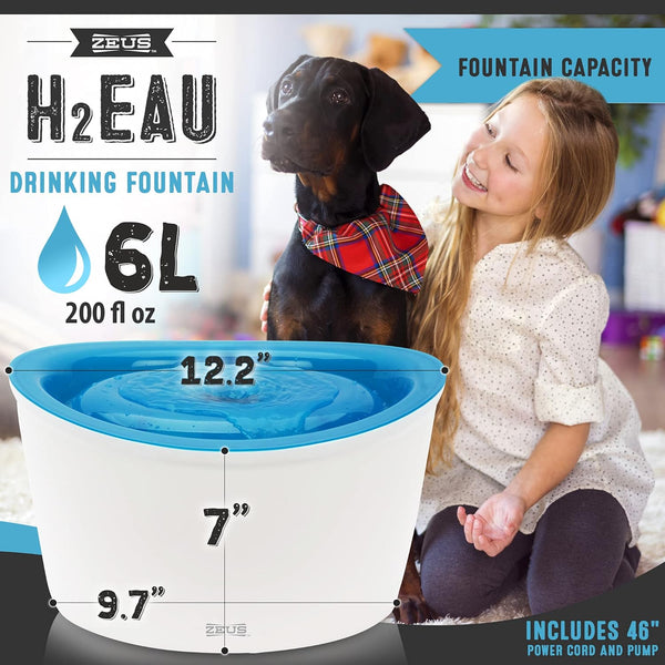 Zeus Fresh & Clear Elevated Dog and Cat Water Dispenser, Large Drinking Water Fountain with Purifying Filter, 6L Capacity, 1 Count (Pack of 1) | Large Drinking Water Fountain with Purifying Filte4