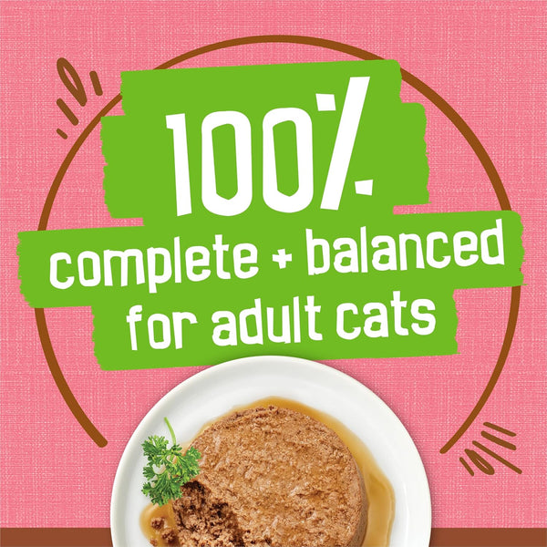 Purina Friskies Wet Cat Food Extra Gravy Pate with Salmon in Savory Gravy - (Pack of 24) 5.5 Oz. Cans5
