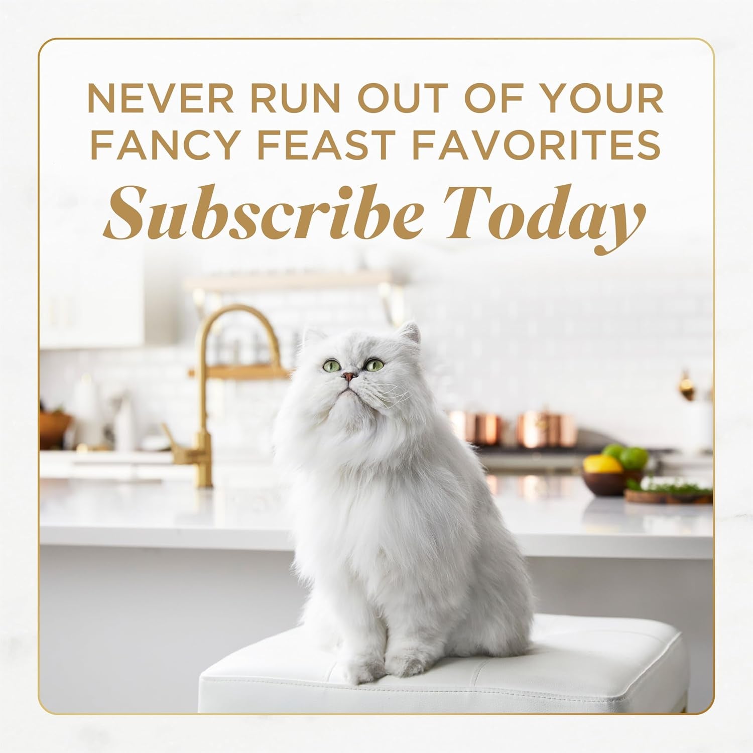 purina-fancy-feast-layered-delights-chicken-mousse-topped-with-flaked-salmon-gourmet-wet-cat-treats-1-96-oz-pack-of-8