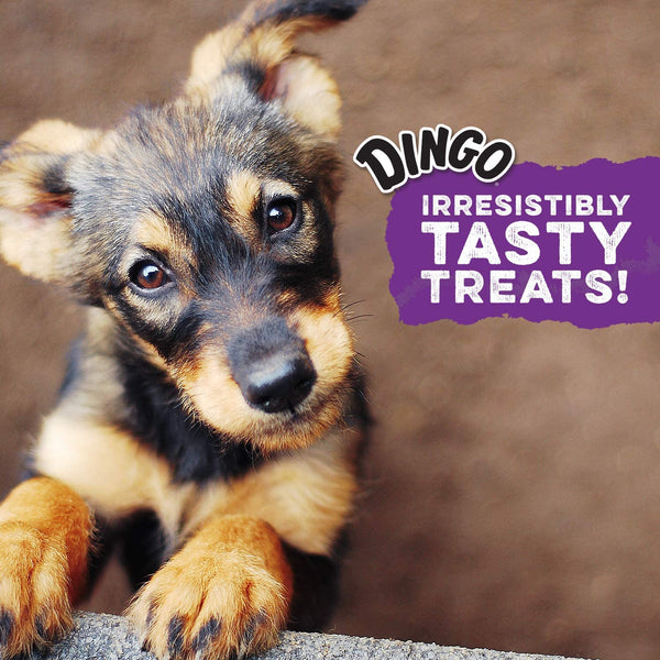 Dingo Twist Sticks Rawhide Dog Treat with Real Chicken, 50 Count | Long-Lasting Rawhide with Real Chicken, Provides Protein, Natural Chewing Action Promotes Clean Teeth, for Adult Dogs5
