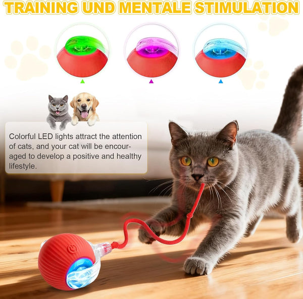 2-Pack USB Rechargeable Smart Cat Toy Ball, 360° Rotation Automatic Moving Chase Toy, Obstacle Avoidance Interactive Play with 4 Spiral Springs, Enrichment Toys for Indoor Cats, Puppies & Small Dogs3