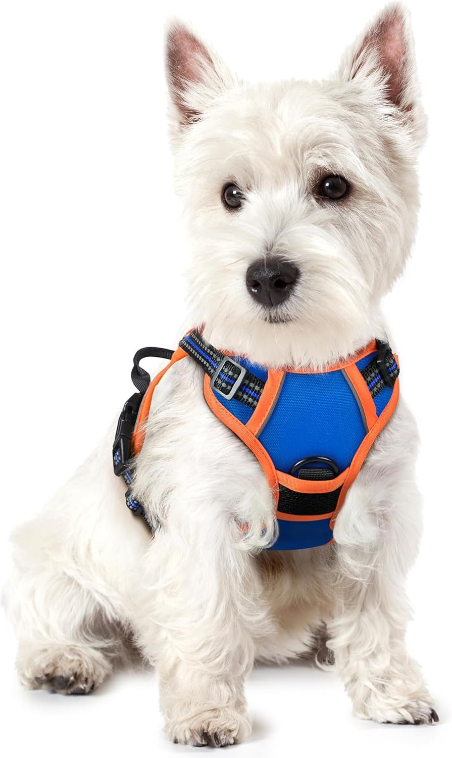 rabbitgoo-dog-harness-no-pull-for-large-dogs-with-2-leash-clips-pet-vest-no-choke-with-handle-adjustable-soft-padded-reflective-easy-control-for-walking-black-large