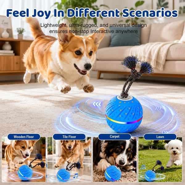 Smart Interactive Dog Toys Ball for Aggressive Chewers Medium Large,E-Tpu | Auto-Moving & Bouncing Ball, 2 Modes with RGB Lights & Bird Sounds,Bite-Resistant Rope, IP54 Waterproof, Type-C Fast Charge4