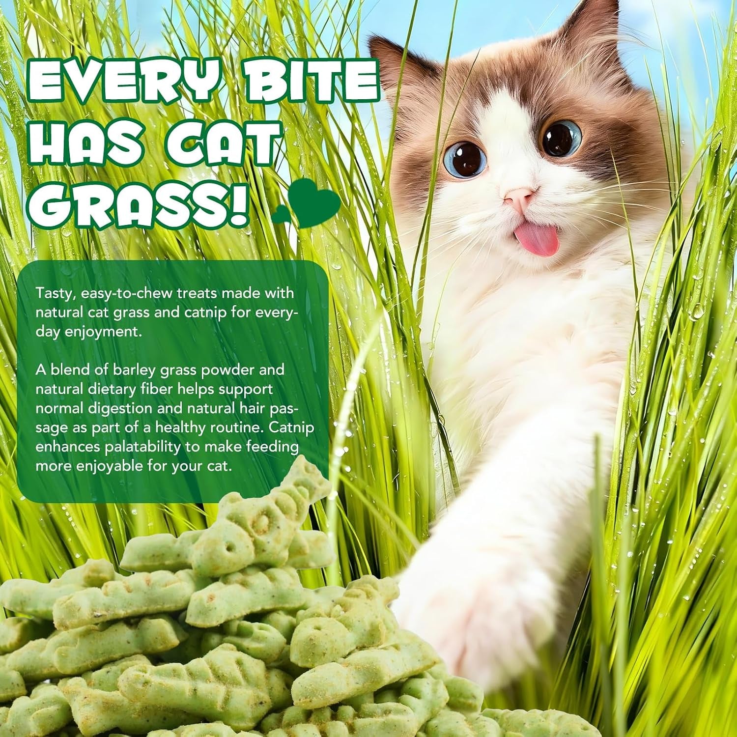 180g-6-4oz-cat-grass-treats-for-hairball-control-natural-teeth-cleaning-fresh-breath-crunchy-catnip-flavored-biscuits-with-barley-grass-cat-training-rewards-for-all-breeds