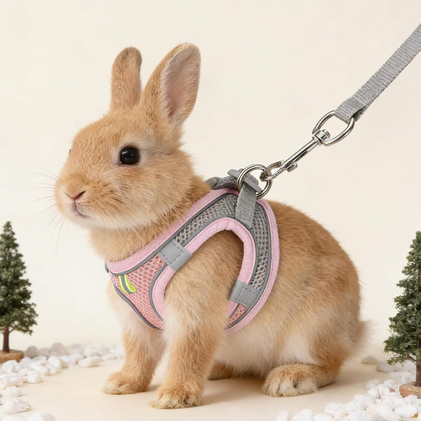 Bunny Harness and Leash Set Breathable Pet Rabbit Harness and Leash Set Soft Rabbit Leashes Reflective Strips Jacket Escape-Proof Walking Gear for Rabbits, Small Kitten, Puppy, Guinea Pigs (Pink, XXS)5