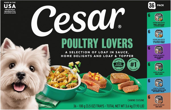 Cesar Wet Dog Food, Steak Lovers Variety Pack, 3.5 Oz, 36 Count | Real Meat #1 Ingredient, Easy Peel Trays, 100% Complete & Balanced, No Fillers, No Added Sugar, No Artificial Flavors20