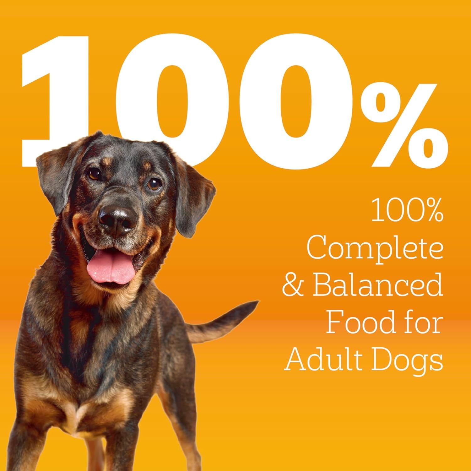 pedigree-high-protein-adult-dry-dog-food-beef-and-lamb-18-lb-real-red-meat-25-more-protein-36-vitamins-minerals-prebiotic-fiber-omega-6-zinc-100-complete-balanced