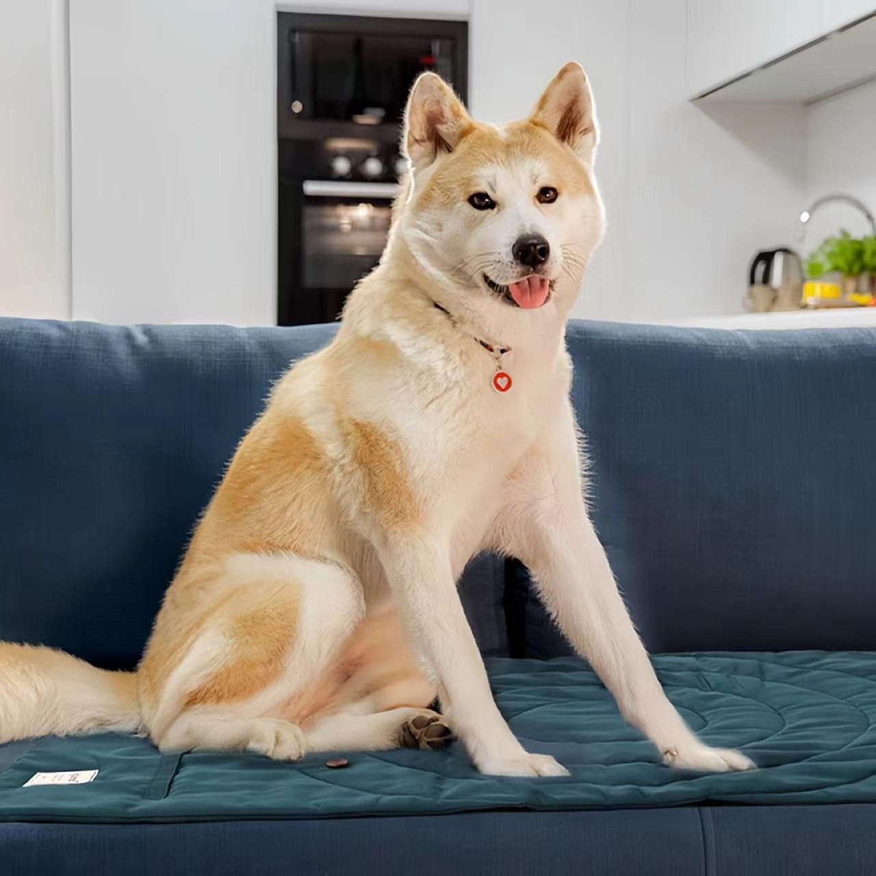 travel-dog-bed-camping-dog-bed-37-4x25-6-waterproof-outdoor-dog-mat-portable-place-mat-for-dogs-with-handle-machine-washable-easy-clean-for-outdoor-adventures-green-medium