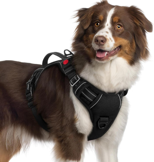 Rabbitgoo Large Dog Harness, Easy Wear with 3 Buckles and Lift Handle | No Pull with Front Clip for Walking, Adjustable Soft Padded, Reflective, Easy Control, Pink, Large35