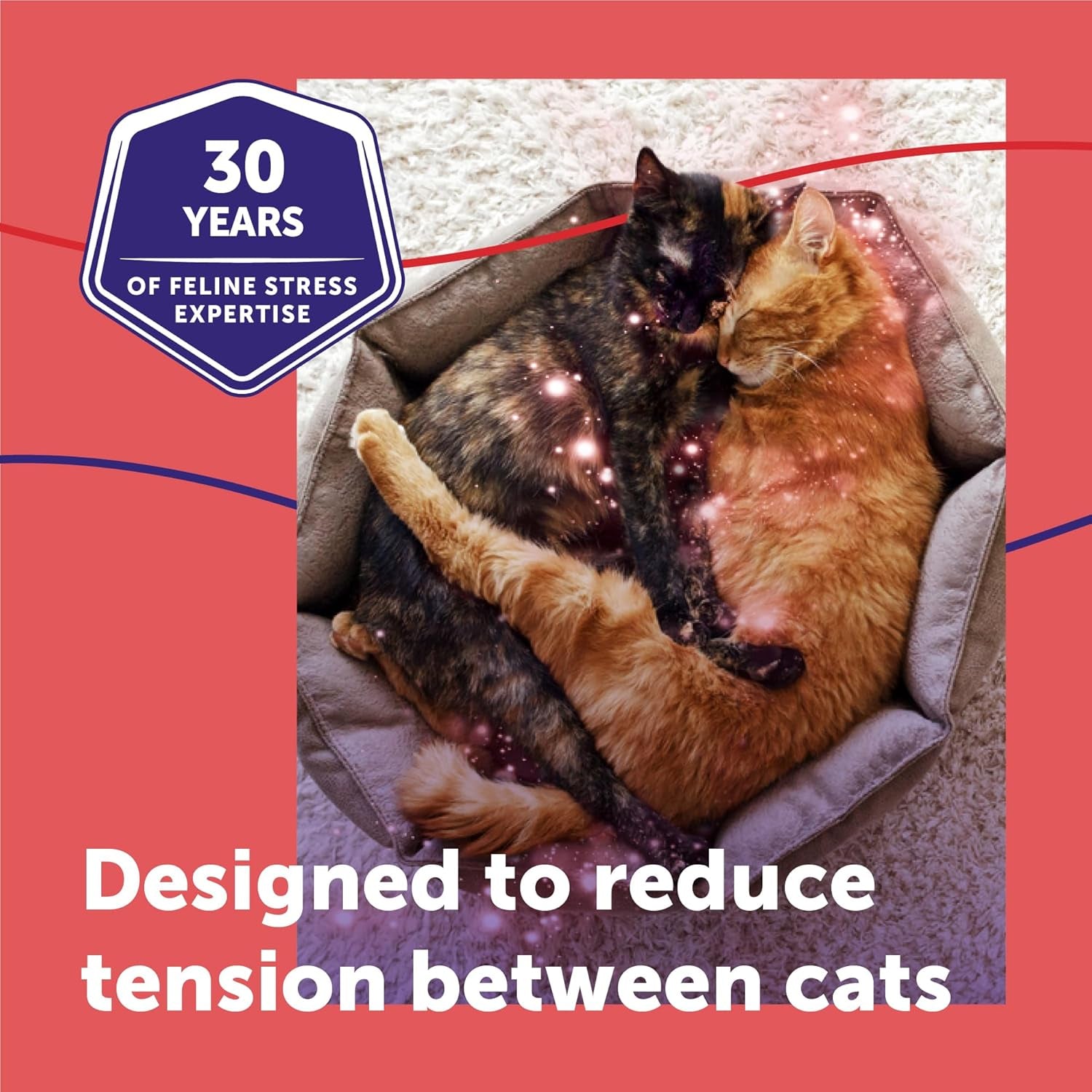feliway-multicat-cat-calming-pheromone-diffuser-kit-helps-reduce-fighting-tension-and-aggression-between-cats-due-to-stress-for-multi-cat-homes-30-day-supply