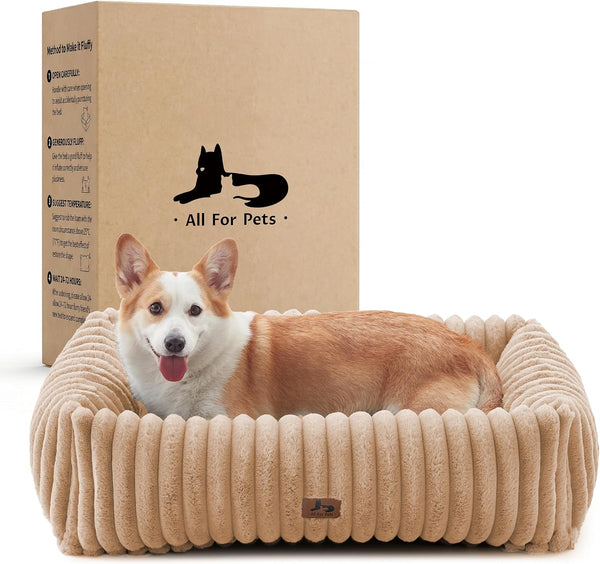 Cute Dog Bed for Small Dogs & Cats,Washable Fluffy Cat Beds for Indoor Cats, Rectangle Orthopedic Memory Foam Puppy Beds with Anti-Slip Bottom, 20 X19 X 7 Inches, Cream(20X19X6Inchs)14