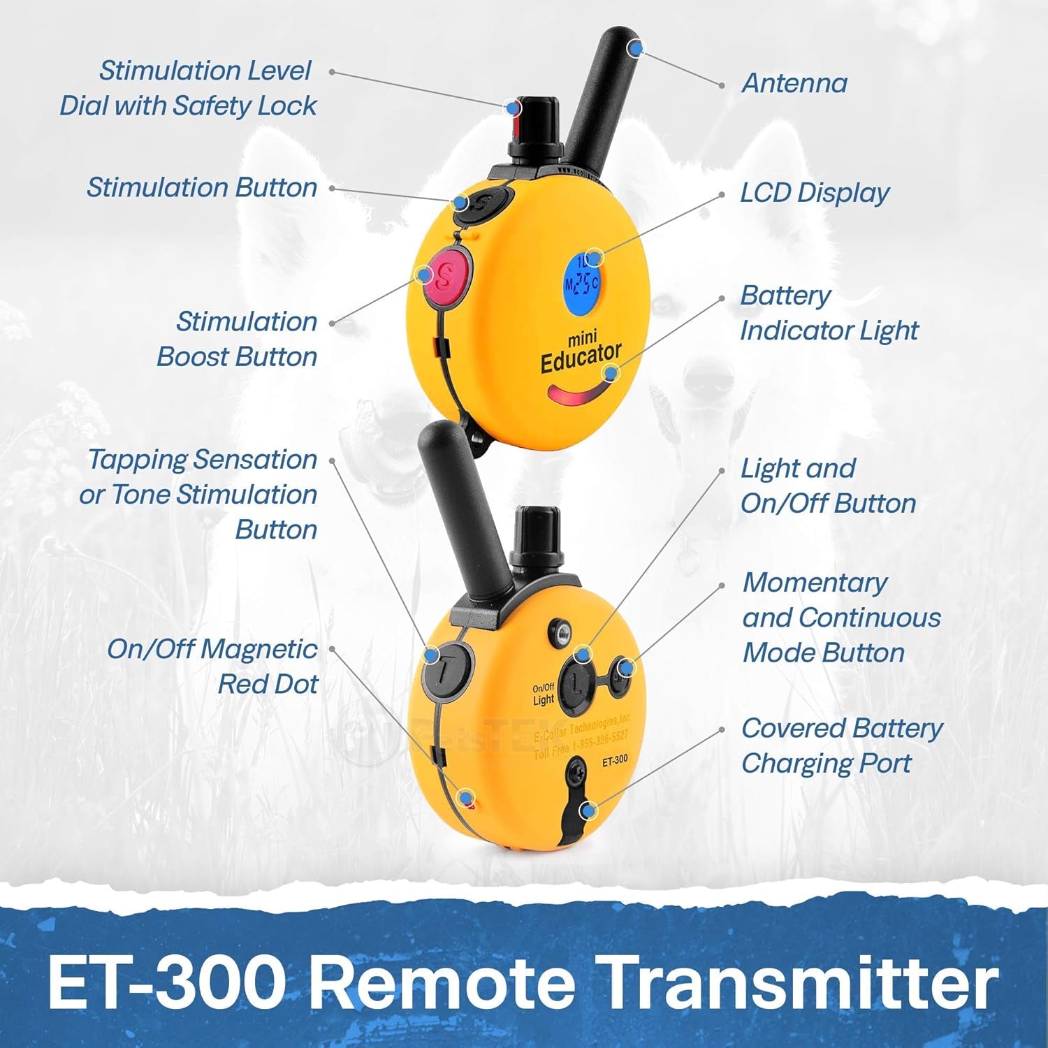 educator-et-300-mini-e-collar-for-dog-training-with-remote-1-2-mile-range-waterproof-100-blunt-stimulation-levels-tone-or-vibration-mode-night-light-tracking-for-small-medium-large-dogs
