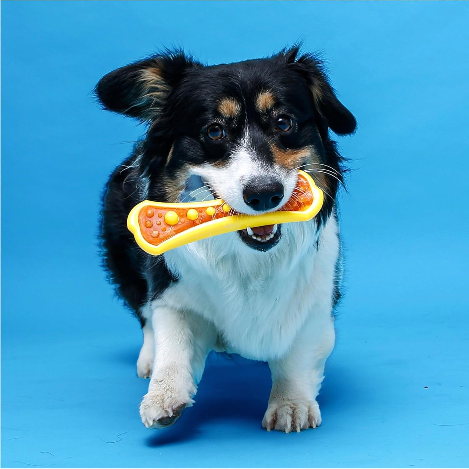 hartz-chew-n-clean-dental-duo-dog-treat-chew-toy-color-varies-extra-small-6-count