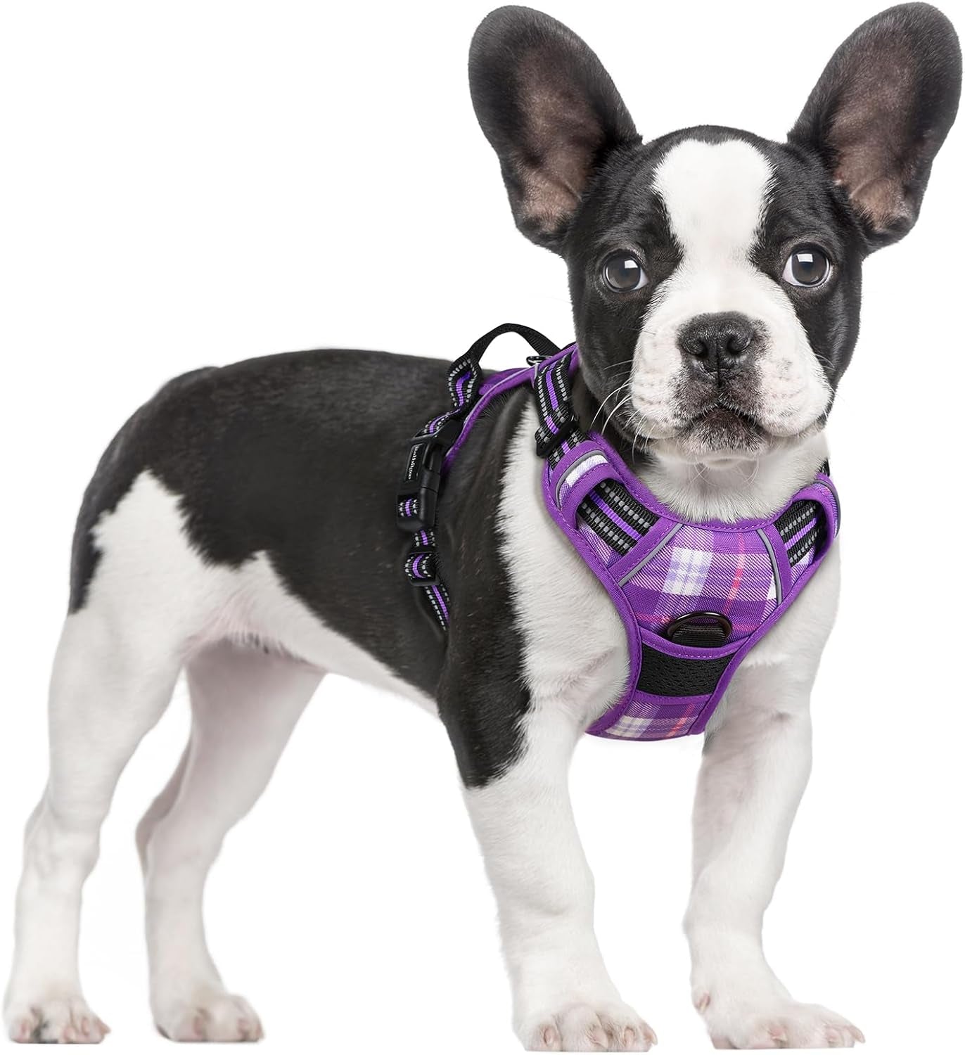 rabbitgoo-dog-harness-no-pull-for-large-dogs-with-2-leash-clips-pet-vest-no-choke-with-handle-adjustable-soft-padded-reflective-easy-control-for-walking-black-large