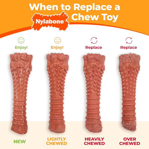 Nylabone Power Chew Comfort Hold X Bone Dog Chew Toy, Beef Flavor, Small | Small Breeds, Durable Dog Toys for Dogs up to 25 Lbs, Teeth-Cleaning Textures, Discourages Destructive Chewing, Long Lasting11