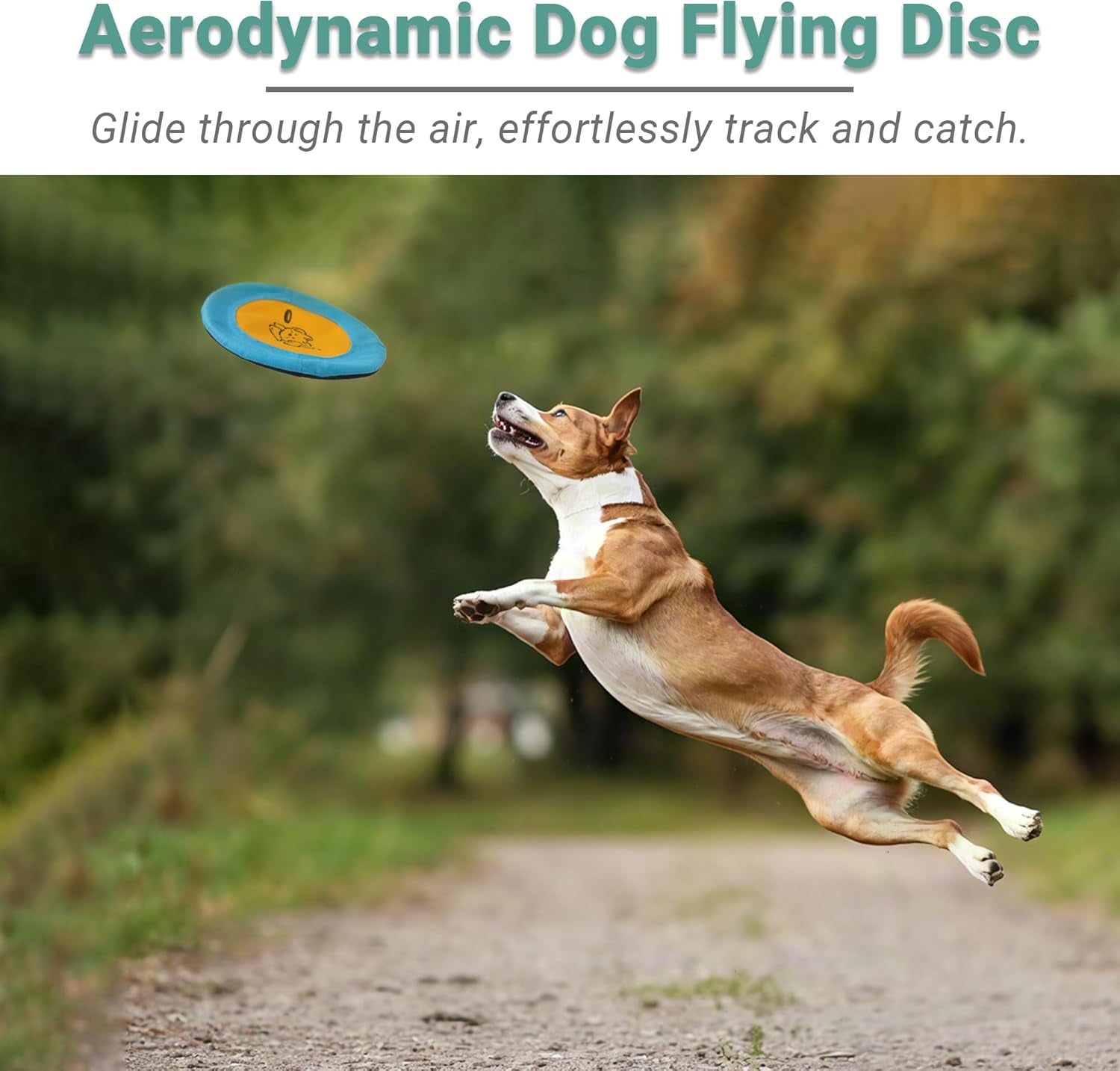 bifeaw-3-packs-nylon-interactive-dog-flying-disc-floating-dog-toys-for-aggressive-chewers-water-toys-for-dogs-blue-and-yellow