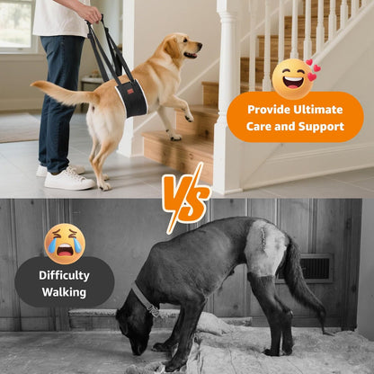 LOOBANI Adjustable Dog Sling for Large Dogs Hind Leg Support ACL Recovery | Walking & Stair Assistance, Senior Dog Mobility, Padded Comfort, Adjustable Fit, Lightweight Nylon, Soft Plush Lining2