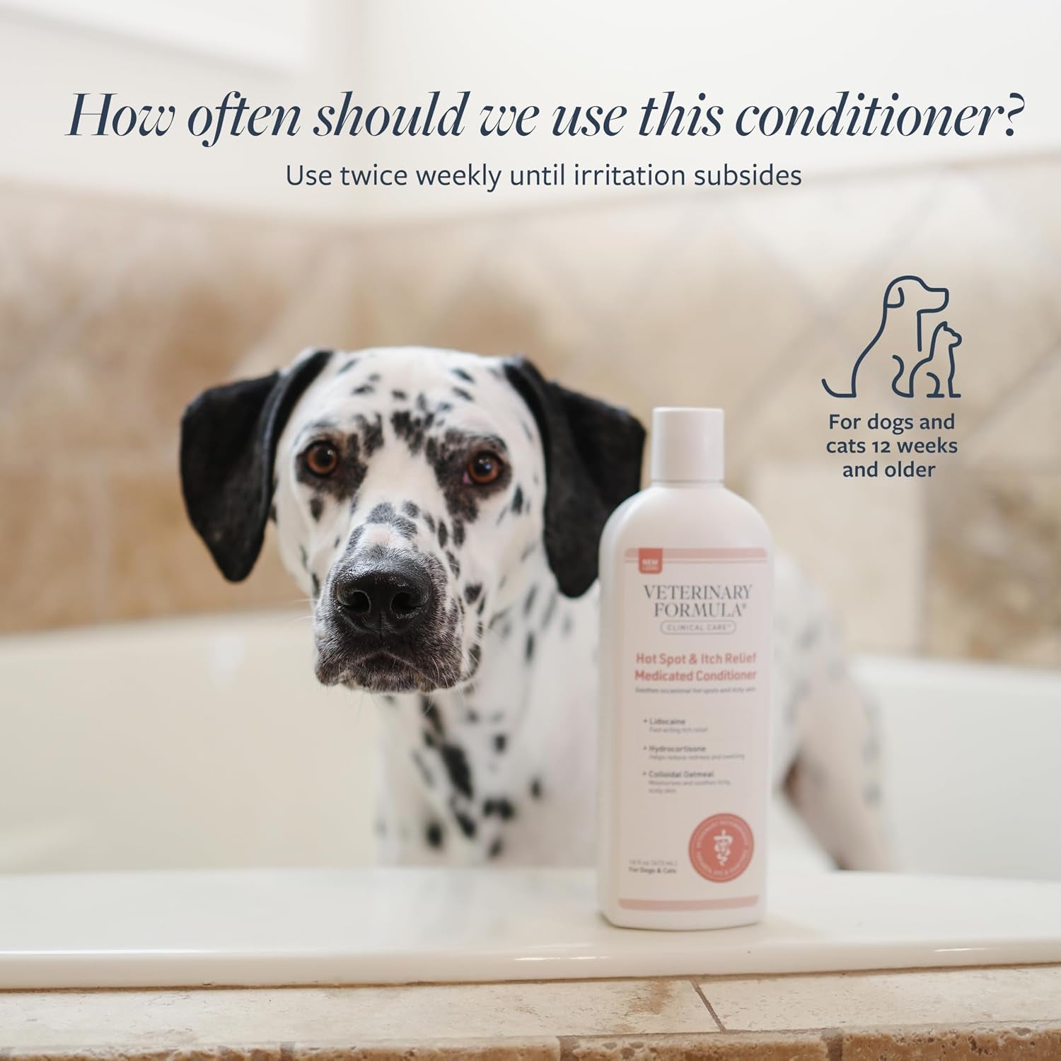 veterinary-formula-clinical-care-hot-spot-itch-relief-conditioner-16-oz-medicated-oatmeal-formula-conditions-the-skin-and-helps-alleviate-itching-in-dogs-and-cats