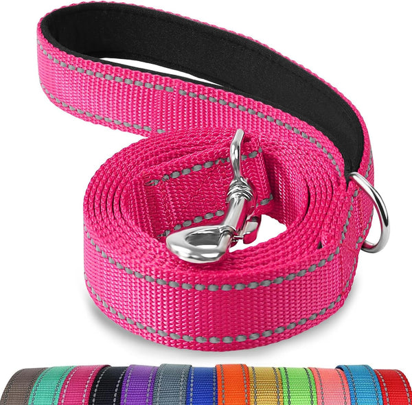 Joytale Reflective Dog Leash for Medium & Large Dogs, 6 FT X 1", Black | Heavy Duty Nylon Webbing, Padded Handle for Comfort, Visible at Night, for Walking & Training20